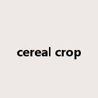 cereal crop是什么意思