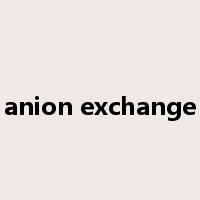 anion exchange是什么意思