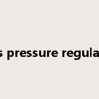 gas pressure regulator是什么意思