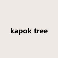 kapok tree是什么意思