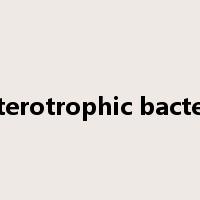 heterotrophic bacteria是什么意思