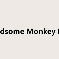 Handsome Monkey King是什么意思