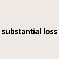 substantial loss是什么意思