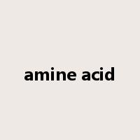amine acid是什么意思