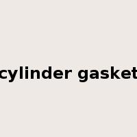 cylinder gasket是什么意思