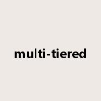 multi-tiered是什么意思