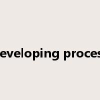 developing process是什么意思
