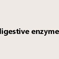 digestive enzymes是什么意思