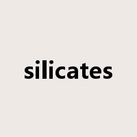silicates是什么意思