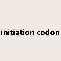initiation codon是什么意思