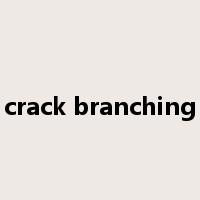 crack branching是什么意思