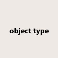 object type是什么意思