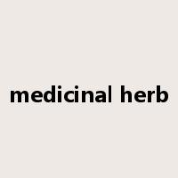 medicinal herb是什么意思
