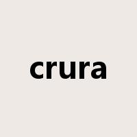 crura是什么意思