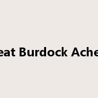 Great Burdock Achene是什么意思