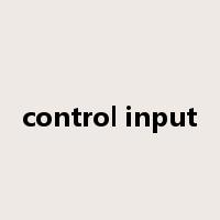 control input是什么意思