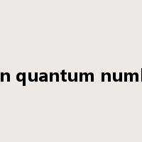 spin quantum number是什么意思