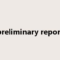 preliminary report是什么意思
