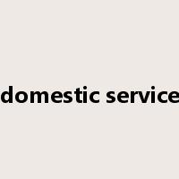 domestic service是什么意思