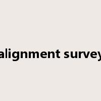 alignment survey是什么意思