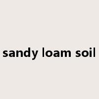 sandy loam soil是什么意思