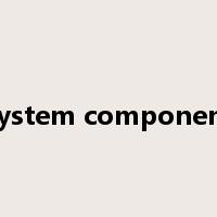 system component是什么意思