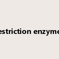 restriction enzymes是什么意思