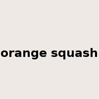 orange squash是什么意思