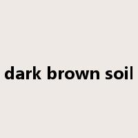 dark brown soil是什么意思