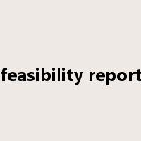 feasibility report是什么意思