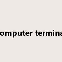 computer terminal是什么意思