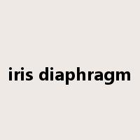 iris diaphragm是什么意思