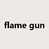 flame gun是什么意思