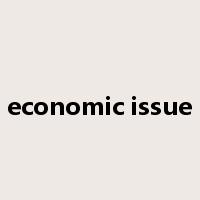 economic issue是什么意思