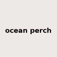 ocean perch是什么意思