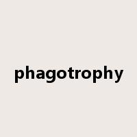 phagotrophy是什么意思