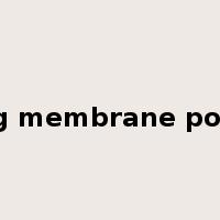 resting membrane potential是什么意思