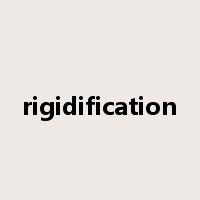 rigidification是什么意思