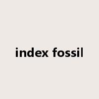 index fossil是什么意思