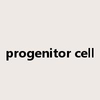 progenitor cell是什么意思