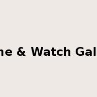 Game & Watch Gallery是什么意思