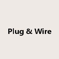 Plug & Wire是什么意思