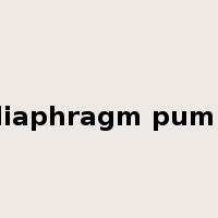 diaphragm pump是什么意思