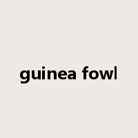 guinea fowl是什么意思