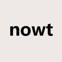nowt是什么意思