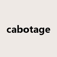 cabotage是什么意思