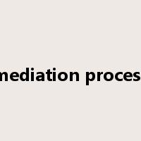 mediation process是什么意思