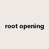 root opening是什么意思