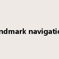 landmark navigation是什么意思