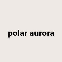 polar aurora是什么意思